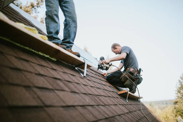 Best Gutter Installation and Roofing  in Frederickson, WA