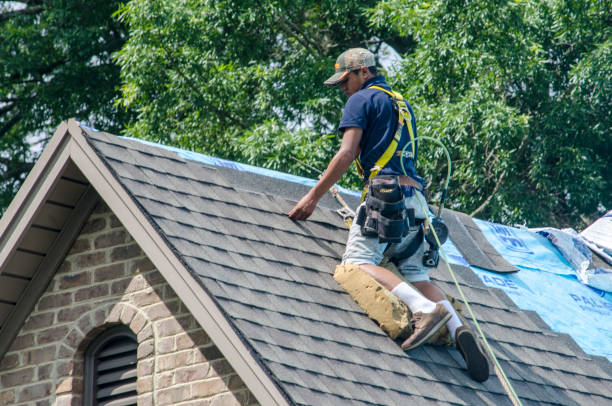 Best Roof Maintenance Services  in Frederickson, WA